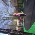le trampoline