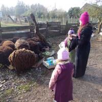 nourrissage des animaux au cours de l'aventure