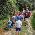 IMG_20180713_135455