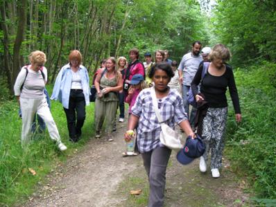 sorties nature adultes