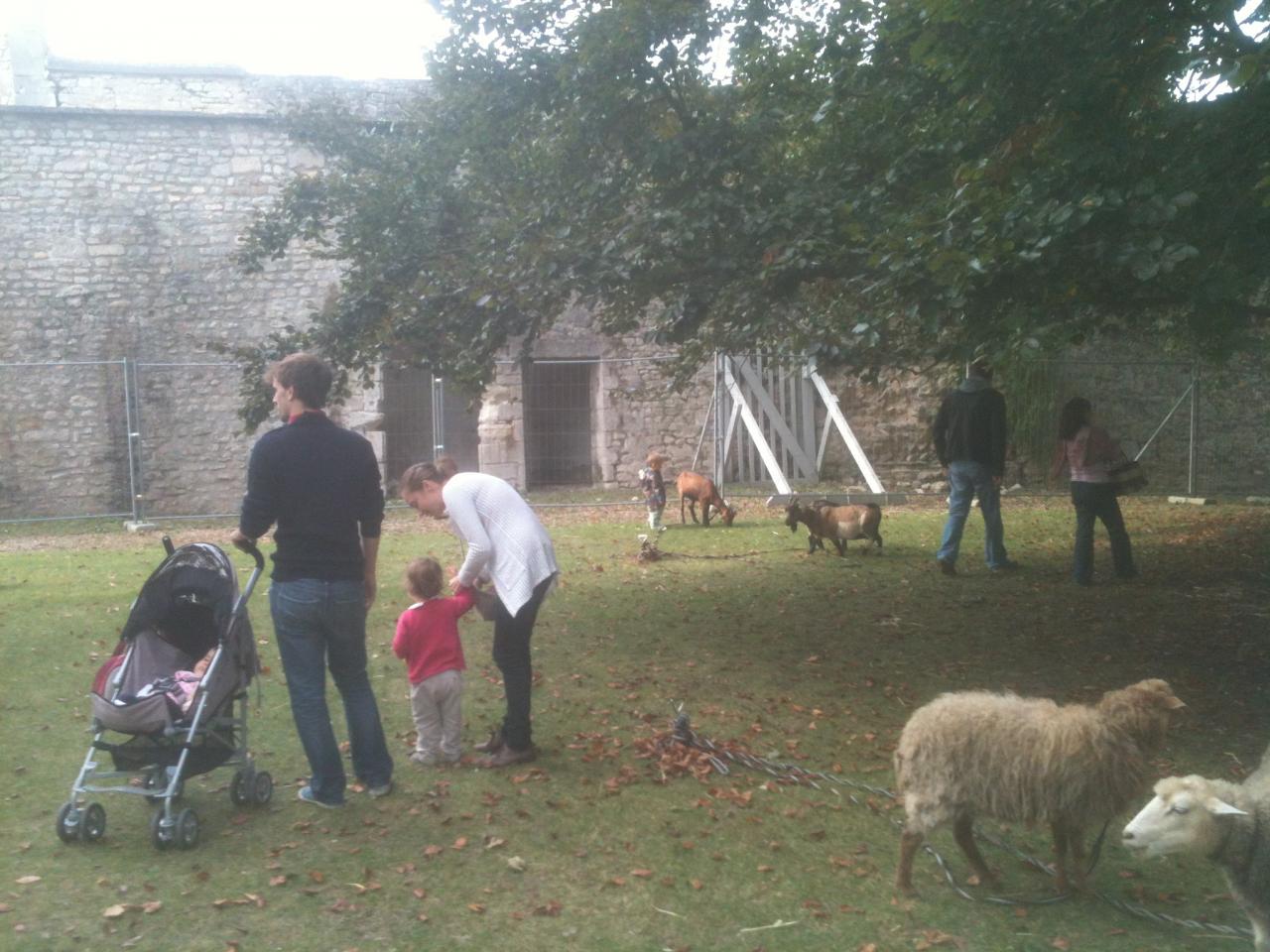 stand animaux en collectivités