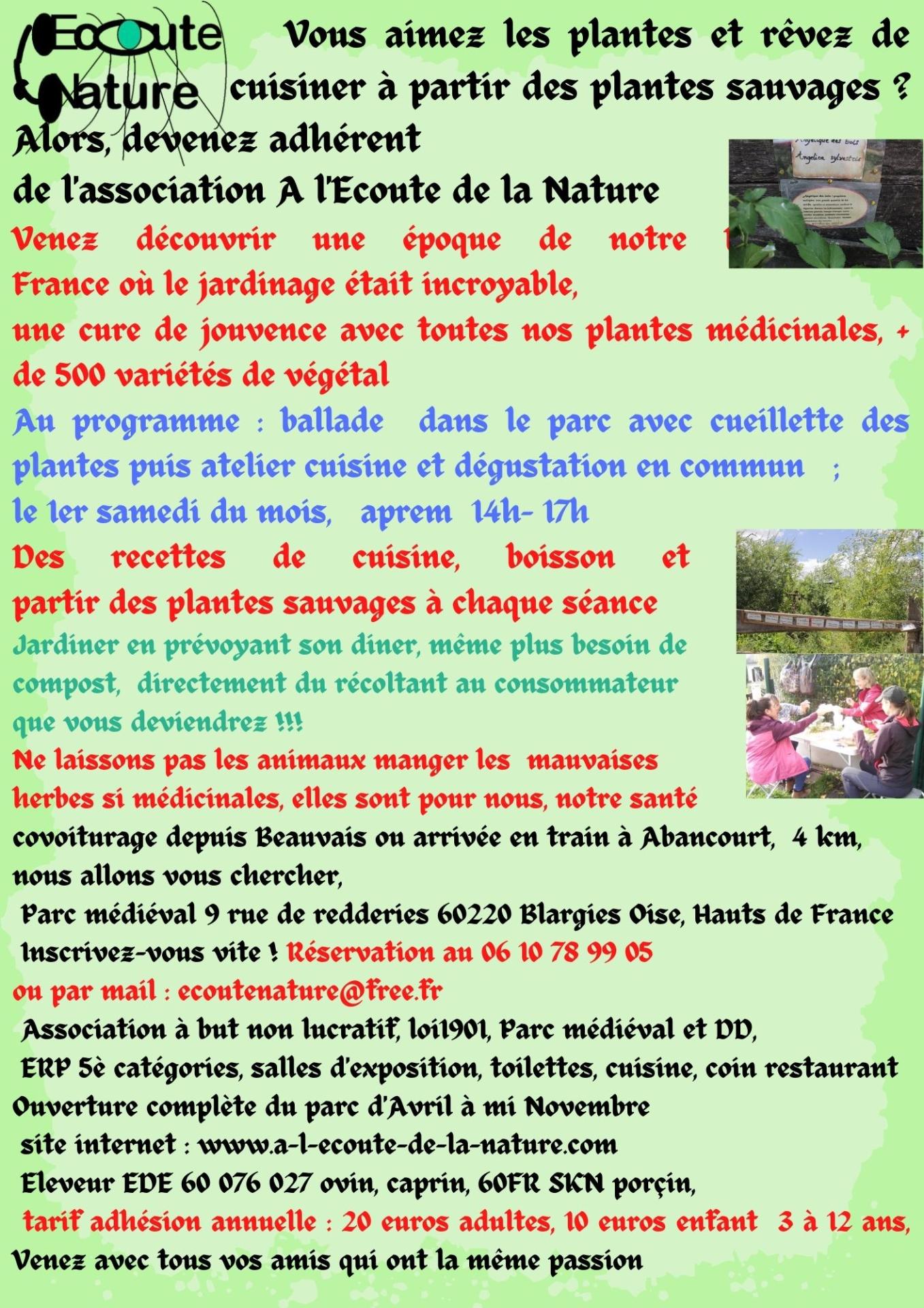 Atelier cuisine plantes sauvages